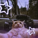 𝙏𝙤𝙧𝙦𝙪𝙚 & 𝙏𝙖𝙩𝙖𝙨