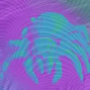 The Web