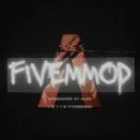 Fivem mod✈