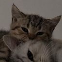 ROBlOX MARKETPLACE Discord server icon