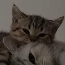 q2hc| ROBlOX MARKET's icon