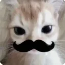 >:3