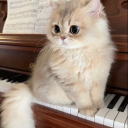 DEMURE Discord server icon