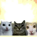 Sitantsu's guild