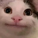 ʜᴇᴇʜᴇᴇ
