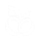 Coco AI