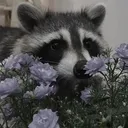 ᴇʟɪᴛɴʏ ᴢᴀꜱᴀʜᴏᴠʏ ᴛᴇᴀᴍ ᴅᴜʙɴᴀ ꜱᴋᴀʟᴀ