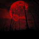 Blood Moon Paradise Discord server icon