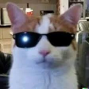 Yapper Central Discord server icon