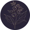 Belladonna