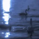 𓈒࣪  ᭡ ˖°𝑫𝒓𝒆𝒂𝒎𝒘𝒆𝒂𝒗𝒆𝒓