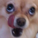 더롱다크 멀티서버