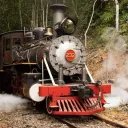 Planta de trem