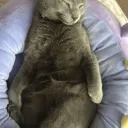 Soy un tío tranquilo y chill de cojones