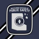 Division of Public Safety