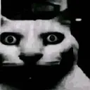 anguish