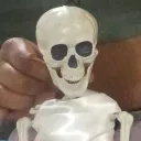 Dolls for All