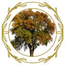 Art Garden Discord Server Icon
