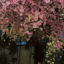 THE UC CLUB> Discord server icon