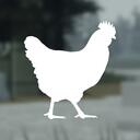 Hen DevelopmentTM   | BUY 1 • GET 1 FREE Discord Server Icon