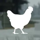 HenDev™ 🐔