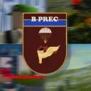 Batalhão de Precursores
