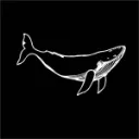 WHALE ALPHA