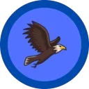 Eagles Image Logger