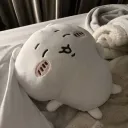 📼‿‿　hanyu　✦𓏼