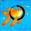 BronzeFish Studio