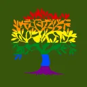Olive Tree