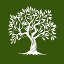 Olive Tree Discord server icon