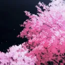 Kyotei Discord Server Icon