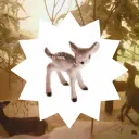 Fawn Psychiatric Hospital 𖣂