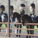 SW EQUINE