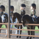 SW EQUINE Discord server icon