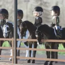 SW EQUINE