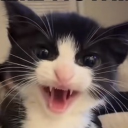 just talk with friends :3 Discord server icon