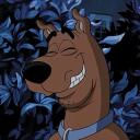 Scoobie’s Sanctuary Discord server icon