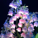 𝑪𝒉𝒆𝒓𝒓𝒚 𝒃𝒍𝒐𝒔𝒔𝒐𝒎𝒔🌸 Discord server icon