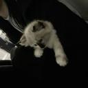 heart Discord Server