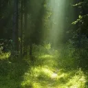 ⌗ 🌿 Ⳋ﹒𝐊ղy ᨵׁׅᥴ's 𝐆ɑׁׅ ꭈժҽղ﹒໑﹒⾕