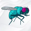 M scripts