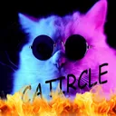 Catircle