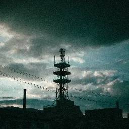 аниме-сервер — мониторинг Discord сервера, статистика и рейтинг