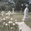 States Of Decay