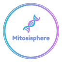 Mitosisphere