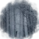❄ . FROSTBITTEN