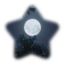  New Moon  Discord Server Icon