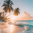 The Lazy Shoreline Discord server icon